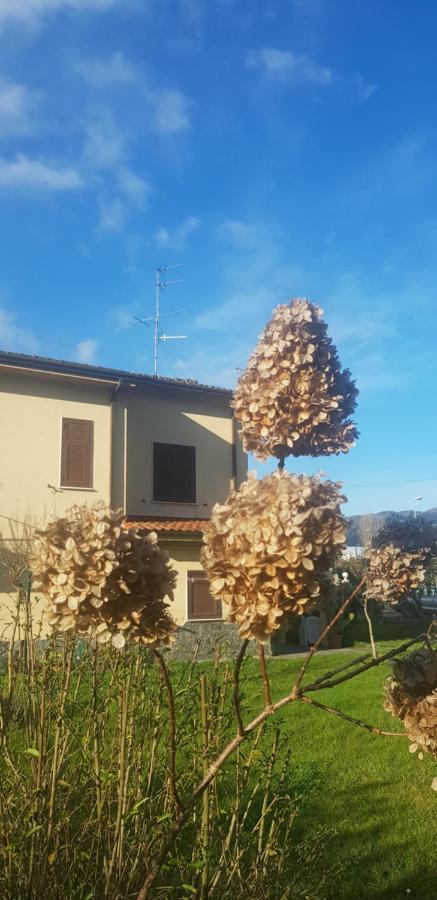 B&B La Damigiana Fioi Piano di Follo Exterior photo